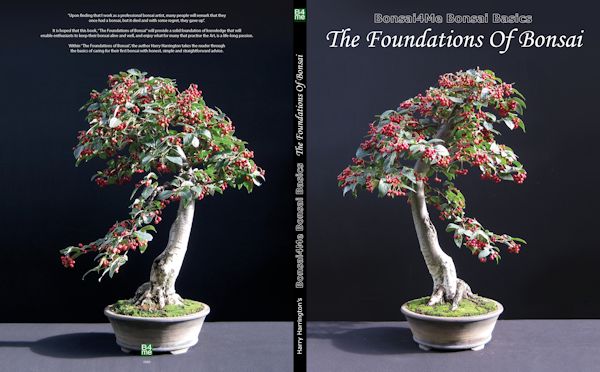 bonsai book